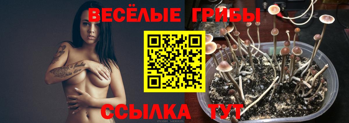 Галлюциногенные грибы мицелий Верхняя Салда