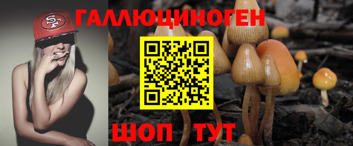 Верхняя Салда  Псилоцибиновые грибы Magic Shrooms  Псилоцибиновые грибы MAGIC MUSHROOMS  Вход с VPN 